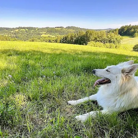 Stylová Roubenka U Svatého Huberta V Podkrkonoší